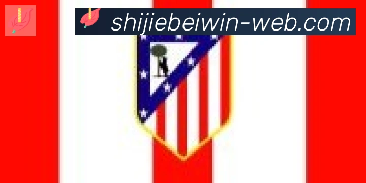 2026世界杯投注入口合作伙伴